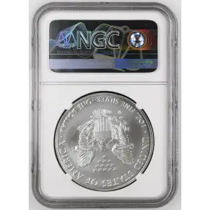 2016 W BURNISHED SILVER EAGLE ANNUAL DOLLAR COIN SET OFFICIAL US MINT SET (2)
