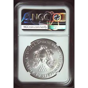 2017 W BURNISHED SILVER EAGLE (2)
