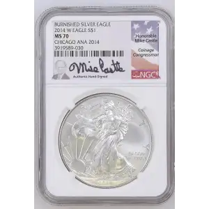 2014 W BURNISHED SILVER EAGLE (2)