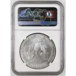 2016 W BURNISHED SILVER EAGLE ANNUAL DOLLAR COIN SET OFFICIAL US MINT SET (2)