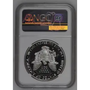1989 S  ULTRA CAMEO (2)