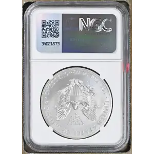 2014 W BURNISHED SILVER EAGLE (2)