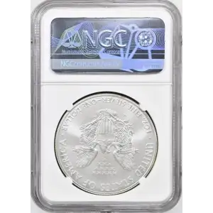 2008 W Burnished Silver Eagle NGC MS-70 ANNUAL DOLLAR COIN SET (2)