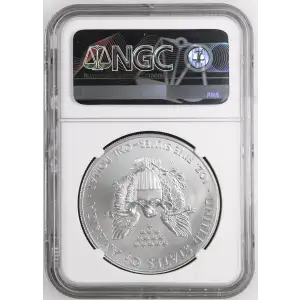 2014 W BURNISHED SILVER EAGLE ANNUAL DOLLAR COIN SET OFFICIAL US MINT SET (2)