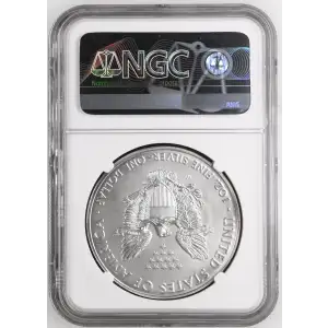 2016 W BURNISHED SILVER EAGLE ANNUAL DOLLAR COIN SET OFFICIAL US MINT SET (2)