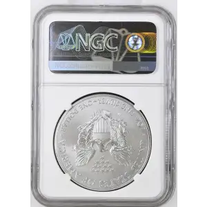 2014 W BURNISHED SILVER EAGLE ANNUAL DOLLAR COIN SET OFFICIAL US MINT SET (2)