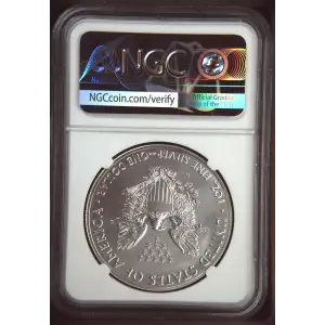2018 W Burnished Silver Eagle First Day of Issue (2)