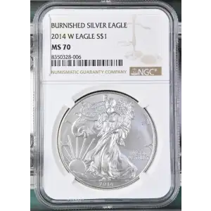 2014 W BURNISHED SILVER EAGLE (2)