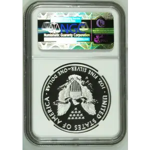 2013 W WEST POINT EAGLE SET EARLY RELEASES OFFICIAL US MINT SET ENHANCED FINISH (2)