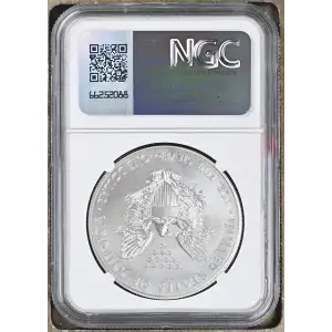 2012 W BURNISHED SILVER EAGLE (2)