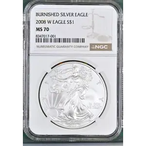 2008 W BURNISHED SILVER EAGLE (2)