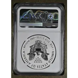2021 W Heraldic Eagle T-1 First Day of Issue Silver Design Set (2)