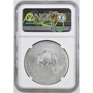 2014 W BURNISHED SILVER EAGLE ANNUAL DOLLAR COIN SET OFFICIAL US MINT SET (2)