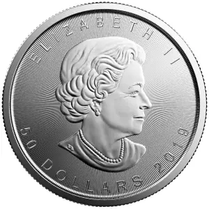 2019 1oz Canadian Platinum Maple Leaf