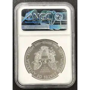 2012 W BURNISHED SILVER EAGLE (3)