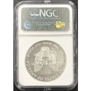 2008 W BURNISHED SILVER EAGLE EARLY RELEASES