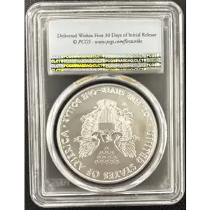 2017 W Burnished Silver Eagle PCGS SP-70 FIRST STRIKE