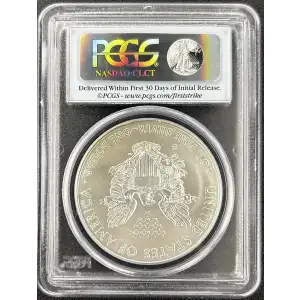 Burnished Silver Eagle