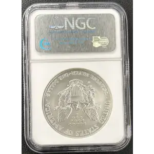 2006 W BURNISHED SILVER EAGLE