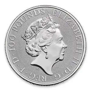 2019 1oz British Platinum Britannia Coin (2)