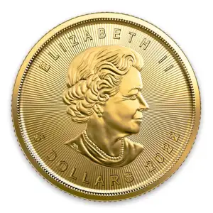 2022 1/10oz Canadian Gold Maple Leaf (2)