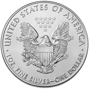 2020 1oz American Silver Eagle