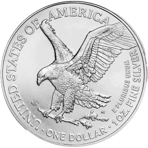 2024 1oz American Silver Eagle (2)