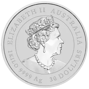 2023 1kg Australian Perth Mint Lunar Series III: Year of the Rabbit (2)
