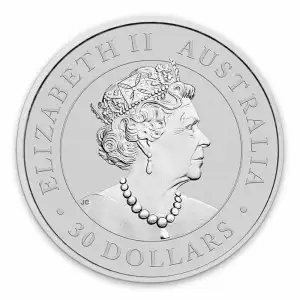 2021 1kg Australian Perth Mint Silver Koala (2)